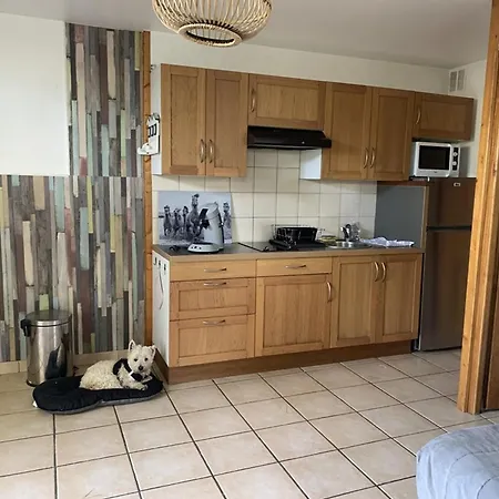 T2 Au Port D'hyeres Avec Jardinet Prive, 4 Pers, Proche Plages Et Commerces - Fr-1-335-203 Apartment *